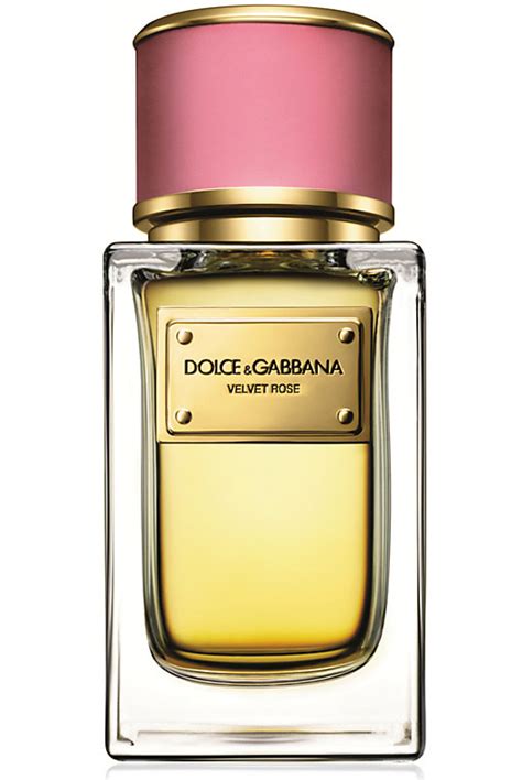 dolce gabbana perfume new 2014|authentic Dolce & Gabbana perfume.